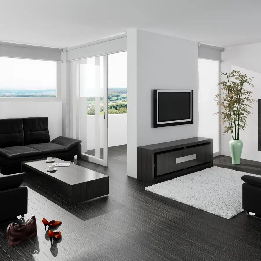 Salon moderne avec mobilier noir et plantes.